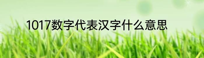 1017数字代表汉字什么意思