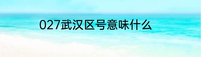 027武汉区号意味什么