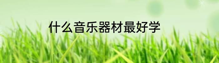 什么音乐器材最好学