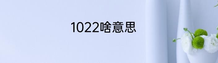 1022啥意思