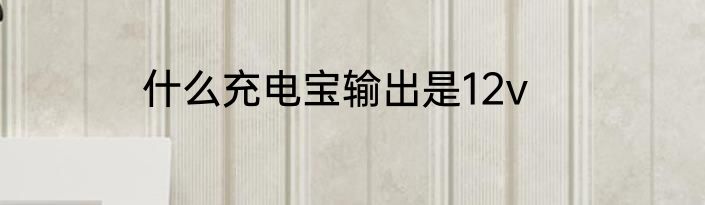 什么充电宝输出是12v