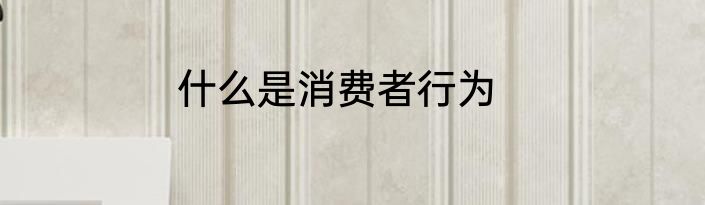 什么是消费者行为