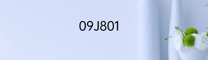 09J801