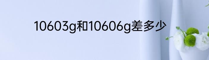 10603g和10606g差多少