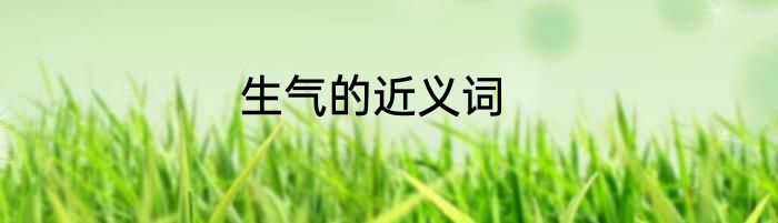 生气的近义词