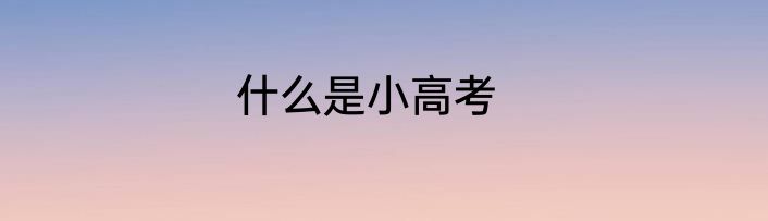 什么是小高考