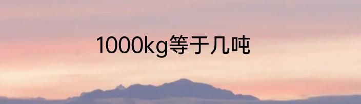 1000kg等于几吨