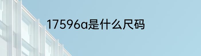 17596a是什么尺码