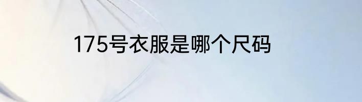 175号衣服是哪个尺码