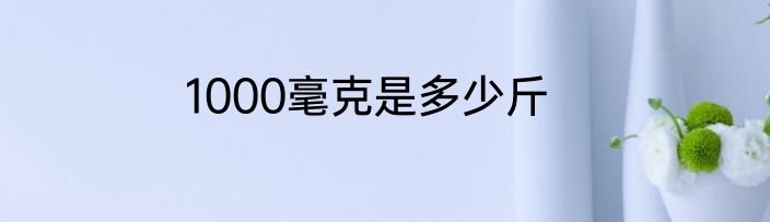 1000毫克是多少斤