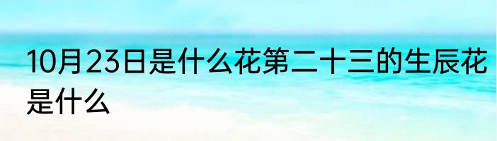 10月23日是什么花第二十三的生辰花是什么