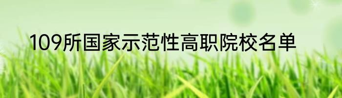 109所国家示范性高职院校名单