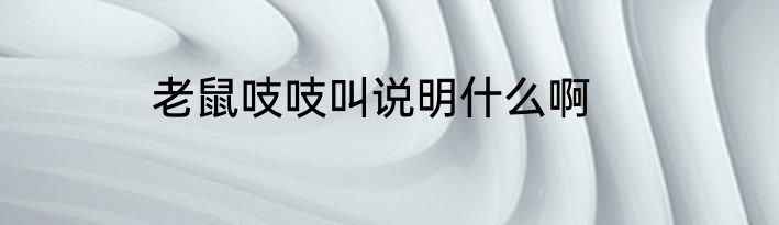 老鼠吱吱叫说明什么啊