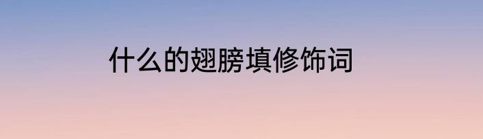 什么的翅膀填修饰词