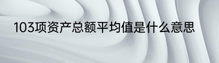 103项资产总额平均值是什么意思