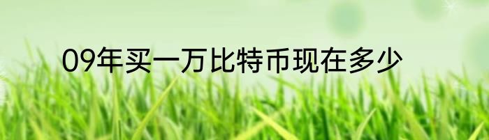 09年买一万比特币现在多少