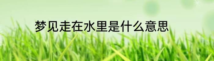 梦见走在水里是什么意思