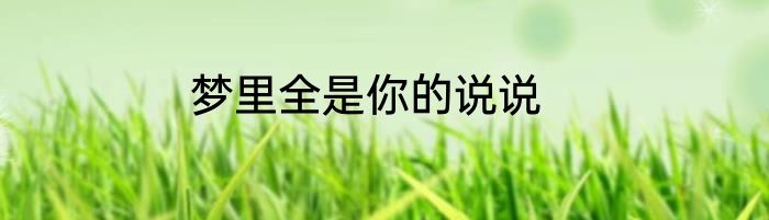 梦里全是你的说说