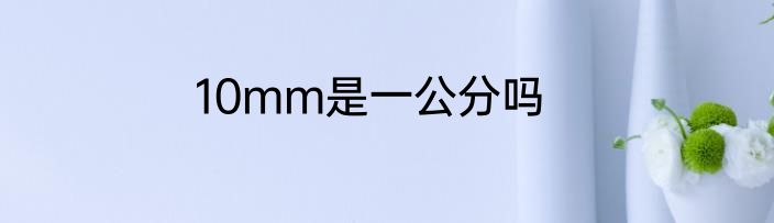 10mm是一公分吗