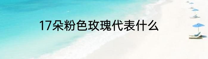 17朵粉色玫瑰代表什么