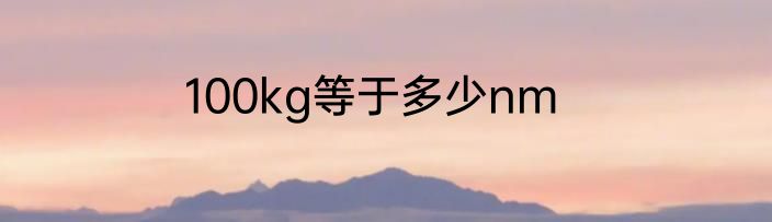 100kg等于多少nm