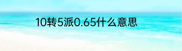 10转5派0.65什么意思