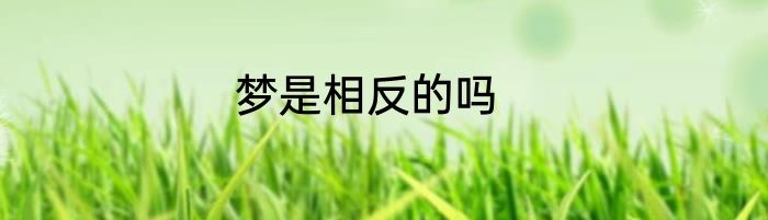 梦是相反的吗