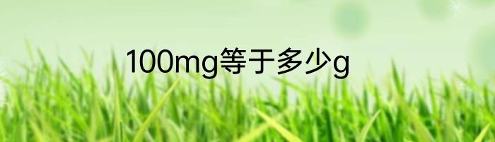 100mg等于多少g