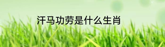 汗马功劳是什么生肖