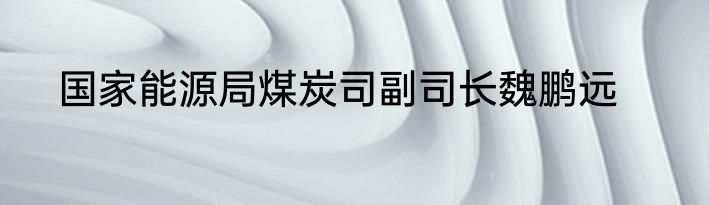 国家能源局煤炭司副司长魏鹏远