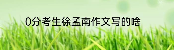 0分考生徐孟南作文写的啥