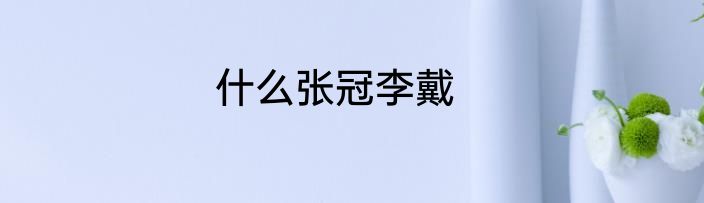 什么张冠李戴