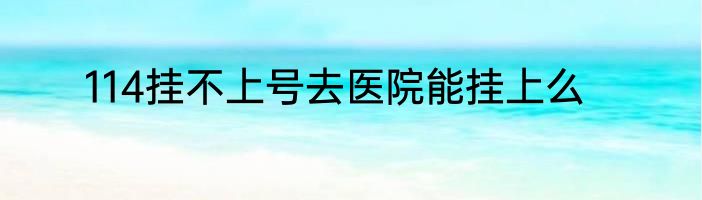 114挂不上号去医院能挂上么