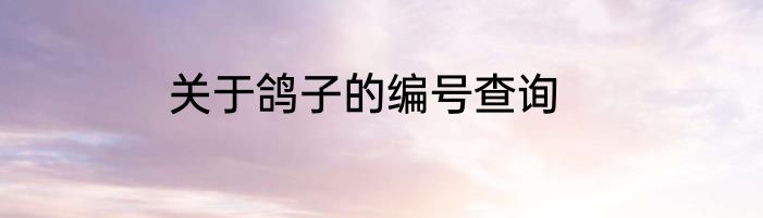 关于鸽子的编号查询