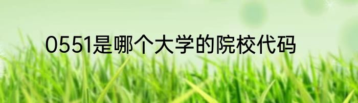 0551是哪个大学的院校代码