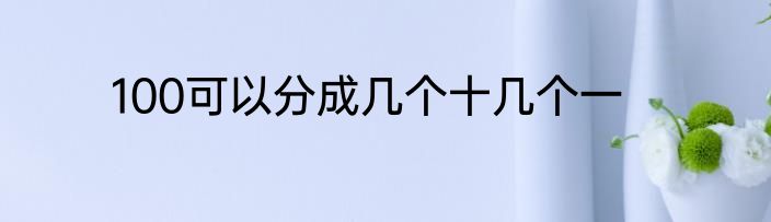 100可以分成几个十几个一