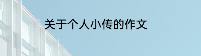 关于个人小传的作文