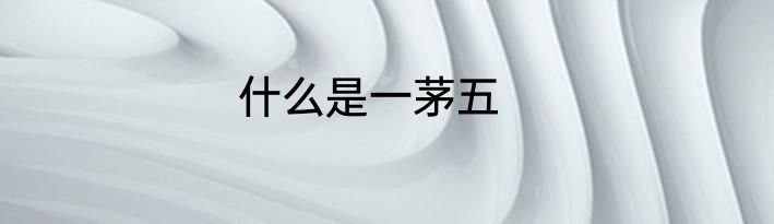 什么是一茅五