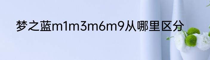 梦之蓝m1m3m6m9从哪里区分