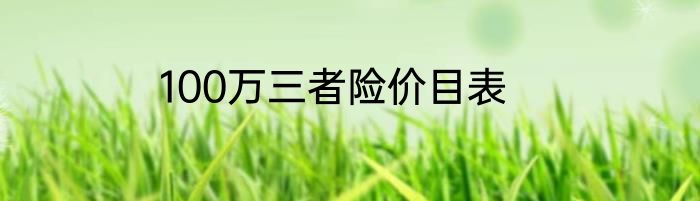 100万三者险价目表