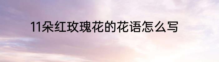 11朵红玫瑰花的花语怎么写