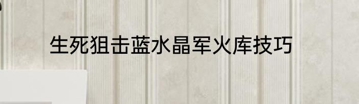 生死狙击蓝水晶军火库技巧