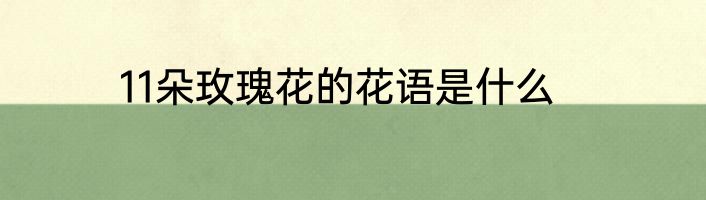 11朵玫瑰花的花语是什么