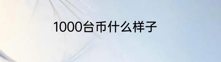 1000台币什么样子