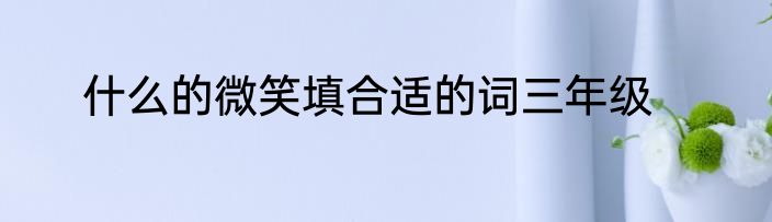 什么的微笑填合适的词三年级