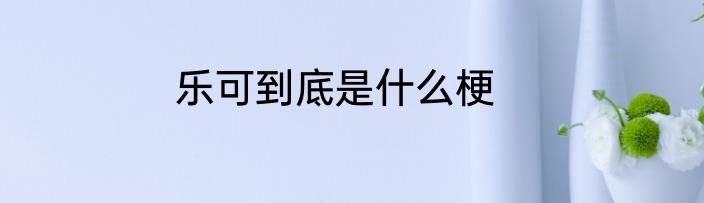 乐可到底是什么梗