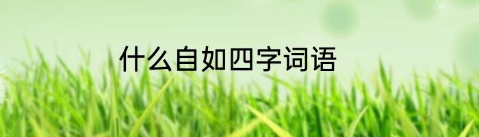 什么自如四字词语