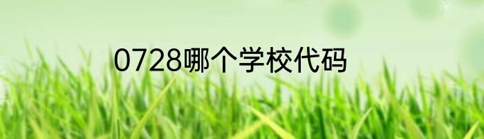 0728哪个学校代码