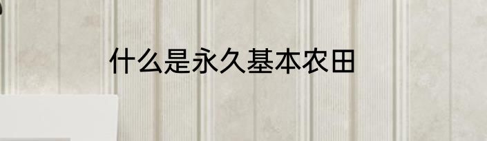 什么是永久基本农田