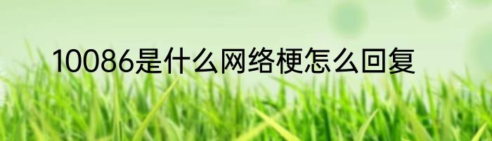 10086是什么网络梗怎么回复
